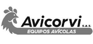 Avicorvi