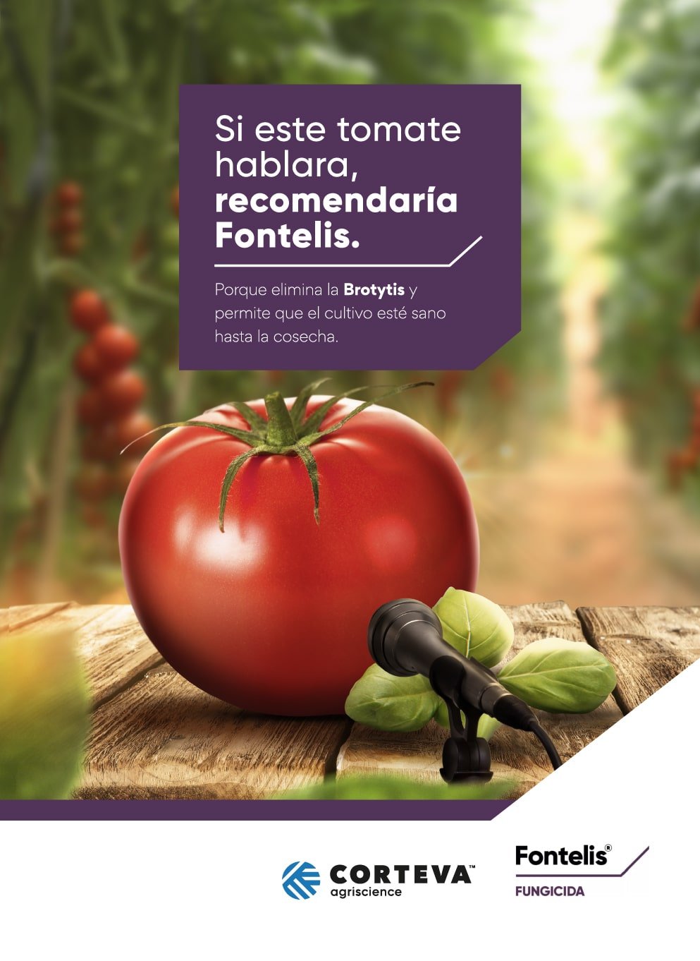 CPC-Cuadros-Fontelis